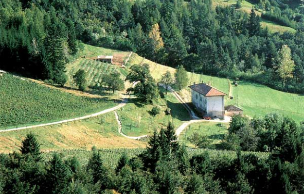 La Scuola Del Vino Ditalia Per Eccellenza Listituto Agrario Di San