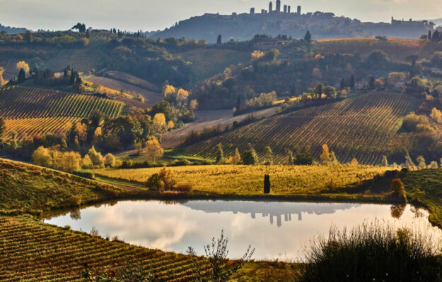 Vernaccia Di San Gimignano Anche La Regina Ribelle Alle Prese Con Il