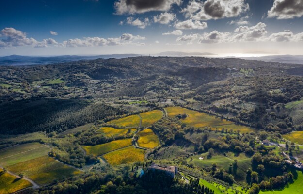 Musk interessato a Castello di Montepò Jacopo Biondi Santi a WineNews