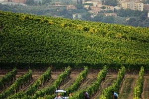 Il settore della vendita al dettaglio a domicilio cresce ancora, trainata nel 2017 dagli “alimentari e beni di consumo” che, con 304.335 euro di fatturato, crescono del 2,5% sul 2016: i dati Univendita, che vanta oltre 4,5 milioni di clienti