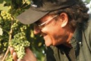 ‘‘Amo la musica ed il vino in egual misura, cosciente che se non avessi avuto i piedi ben piantati per terra, non sarei arrivato in alto’’. A WineNews Al Bano Carrisi, tra le voci più belle del canzone italiana, ed ambasciatore della terra e del vino