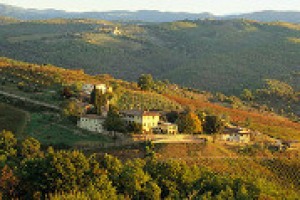 Alejandro Bulgheroni, dal petrolio al vino, dall’Argentina alla Toscana in Chianti Classico (Dievole), a Montalcino (Poggio Landi e Podere Brizio) e Bolgheri (Le Colonne). Gli sviluppi delle tenute con il presidente di Dievole Enrique Almagro