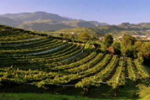 Il futuro della Valpolicella e dell’Amarone e la convivenza delle tante anime del territorio visto dai produttori “medio-piccoli”: a WineNews le parole di griffe come Santa Sofia, Valentina Cubi, Roccolo Grassi, Secondo Marco e Fasoli Gino