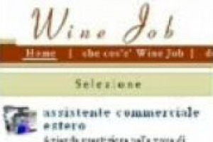 Nel mondo del vino servono professionalità umane sempre più complesse. Per far incontrare domanda e offerte di lavoro c’è WineJob.it, il portale di Selecta e Wi-Ma. Le parole di Andrea Pecchioni...