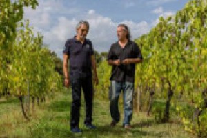 Andrea Bocelli, tra gli italiani più famosi nel mondo, e il suo rapporto con il vino raccontato a WineNews. Dall’azienda di famiglia alla percezione dei nettari tricolore nel mondo, nell’intervista di Sara Valitutto al vincitore del Premio Masi