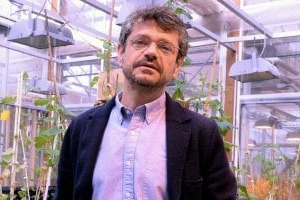 Fico Eataly World vuole essere luogo di divulgazione, sostenibilità e business, ma anche di scienza, tramite l’omonima Fondazione: cos’è, e cosa si propone di fare, secondo Andrea Segrè, Professore di Politica Agraria presso l’Università di Bologna