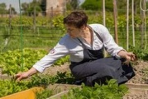 “La cucina ha la fortuna di occuparsi delle cose più importanti: le persone, le risorse, il cibo. Il cuoco, oggi, affronta problemi attuali, e deve farlo non sprecando niente”. A WineNews la chef stellata Antonia Klugmann, nuova giudice di Masterchef