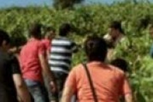 Enoturismo: il caso ‘‘Puglia’’ e le potenzialità dell’Italia ancora da cogliere nelle parole di Magda Antonioli Corigliano, docente e coordinatore del Master in Economia del Turismo presso l’Università Bocconi di Milano