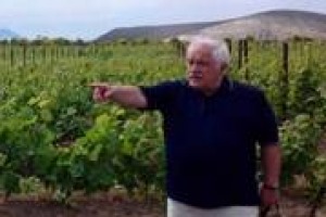 Consolidamenti aziendali, polarizzazione produttiva, invecchiamento dei vigneti, cambiamenti climatici e risultati della ricerca scientifica: ai microfoni di WineNews i trend del prossimo futuro dell’Italia enoica per il Professor Attilio Scienza.