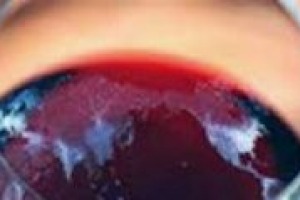 Il futuro dell’export nelle parole dei protagonisti: a WineNews Alessio Planeta, Giovanni Busi (Consorzio Chianti), Sergio Zingarelli (Rocca Delle Macie), Ettore Nicoletto (Santa Margherita), Massimo Tuzzi (Zonin) E Michele Bernetti (Umani Ronchi)