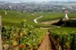 E se il Tokaj, da sempre al centro della disputa enoica che divide Italia ed Ungheria, fosse in realtà il frutto di un vero e proprio ‘‘melting pot’’ vinicolo? A WineNews il professor Erno Peter Botos della Corvinus University di Budapest