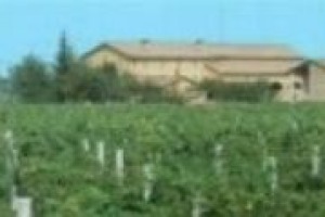 Scontro fra comuni e aziende agricole sull’Ici dei fabbricati rurali nei territori ad alto valore aggiunto: i pareri del Sindaco di Montalcino Maurizio Buffi e del vice direttore di Confagricoltura Siena Gianluca Cavicchioli