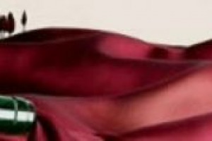 Il Chianti, una delle denominazioni più vaste d’Italia, si prepara alla sua prima anteprima, a Firenze il 18 febbraio. A WineNews le tappe di avvicinamento all’evento nelle parole del presidente del Consorzio Giovanni Busi