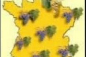 L’enoturismo vola anche oltre frontiera: in Francia sono 7,5 milioni gli enoappassionati che visitano i territori del vino. E 2 su 3 sono cittadini francesi. Parla Philippe Calamel, segretario nazionale dell’‘‘Union des Itinéraires Culturals’’