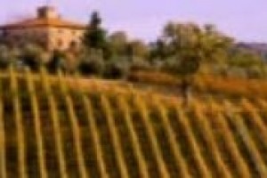 ‘‘Il marchio è sempre più decisivo per un ruolo da protagonista dell’agroalimentare italiano’’. Camillo Gardini, presidente Agri 2000. Il vino? ‘‘C’è bisogno di una leadership a livello mondiale anche come visibilità, con marchi più affermati’’