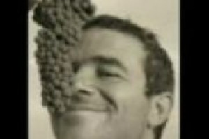 Il riscaldamento del pianeta cambierà la viticoltura. Caprai, griffe umbra del Sagrantino, simula la ‘vigna del futuro’, per studiare gli effetti del mutamento climatico e dell’aumento delle temperature Il riscaldamento del pianeta cambierà la viticoltura. Caprai, griffe umbra del Sagrantino, simula la ‘vigna del futuro’, per studiare gli effetti del mutamento climatico e dell’aumento delle temperature