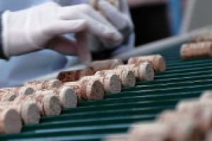 Il 2014 del vino, e dei tappi, visto da Carlos Santos di Amorim Cork Italia divisione italiana del gruppo portoghese n. 1 dei tappi di sughero nel mondo, con 3,5 miliardi di pezzi prodotti ogni anno, di cui 350 milioni solo in Italia ...