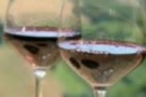 Il Brunello di Montalcino continua a riscuotere consensi nel mondo, come testimoniano Ceri Smith, della celebre enoteca di San Francisco ‘‘Biondivino’’, e Pino Piano, direttore della catena di ristornati “Gaia”, con locali in diverse zone dell’Asia