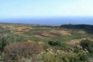 Il valore del paesaggio in una bottiglia di vino? E' una variabile rilevante ed economicamente calcolabile. Lo sostiene il professor Gianni Cicia dell’Università Federico II di Napoli