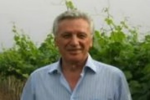 Consorte (Federvini): ‘No alle fascette anche per le Doc. Innanzitutto un metodo per tutti e no la scelta ai consorzi. Si fa confusione e si rallentano i processi produttivi. Questo ci terrorizza’ Consorte (Federvini): ‘No alle fascette anche per le Doc. Innanzitutto un metodo per tutti e no la scelta ai consorzi. Si fa confusione e si rallentano i processi produttivi. Questo ci terrorizza’