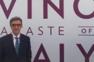 “Abbiamo portato la cultura del vino a tanta gente, è il più grande successo. La Festa del Vino? Si farà se potremo fare una cosa dignitosa. Ma senza squilli di tromba”. Così Cotarella, presidente del Comitato Scientifico del Padiglione Vino, ad Expo