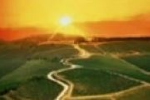 ‘Crisi’, difficoltà ma anche opportunità per investire. Vale anche per il vino? parlano quattro griffe dell’enologia italiana: Massimo Bernetti (Umani Ronchi), Paolo Damilano, Elisabetta Foradori e Annibale Rossi di Medelana (Castello del Terriccio)