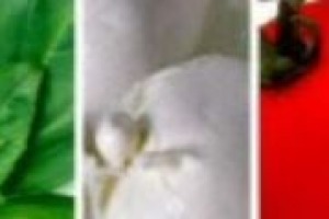 Inizio di 2012 in chiaro-scuro per l’industria alimentare italiana: luci arrivano dall’export, previsto in crescita del 10% a fine anno, le ombre dal mercato interno in calo. Ne abbiamo parlato con Daniele Rossi, dg Federalimentare