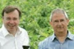Dal mondo delle guide italiane (‘‘più si parla del vino e meglio è’’) al paragone tra i vini del Belpaese e francesi (‘‘ormai sullo stesso livello’’): a WineNews Michel Bettane, autore con Thierry Dessauve della guida più autorevole di Francia