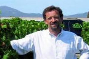 “Convenzionali” contro “organici”, ricerca talvolta malvista e poco dialogo: a chi giova questo stato di cose in tema di vino “naturale” per le cantine italiane, e come rimediare? A WineNews il parere di Pierluigi Donna, agronomo del gruppo Sata