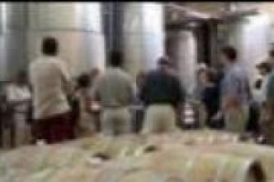 Il turismo del vino è un fenomeno di successo: quale è il segreto? Le parole di Chiara Lungarotti, presindente del Movimento Turismo del Vino. Vino e territorio chi dei due fa da traino all’altro? Risponde Alessandro Marchionne di Agricola San Felice