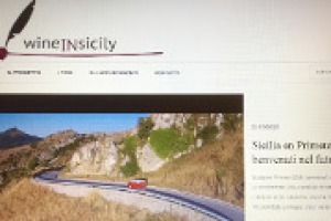 Raccontare la Sicilia attraverso i suoi vini, i suoi territori, e il loro legame con paesaggi, cultura e storia, attraverso gli strumenti più moderni che offre il web: ecco “Wine in Sicily” di Assovini, raccontato dal presidente Francesco Ferreri