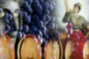 ''I vini d'Italia'' è il progetto che attraverso 15 documentari racconterà il vino del Belpaese. Ai microfoni di WineNews il tre volte premio Oscar Vittorio Storaro, supervisore alla cinematografia dell'iniziativa, e il figlio Giovanni, produttore