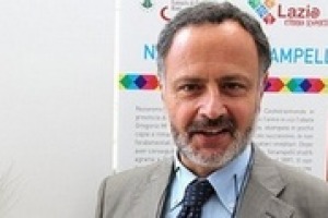 “Per dare credibilità ai vini del Lazio, dobbiamo ridisegnare le Do regionali, facendo leva su quelle che riconoscibili. Poi bisogna puntare sulla qualità e sulla costruzione di un mercato”. A dirlo Carlo Hausmann, Assessore Agricoltura Lazio