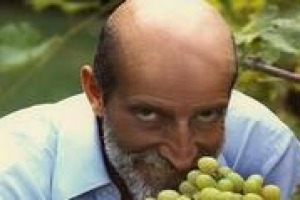 Un museo vivente dell’ampelografia italiana, con oltre 150 varietà di vite coltivate biodinamicamente e potate ad alberello, nell’inimitabile Orto Botanico di Roma: ecco il progetto “Roma Caput Vini”, ideato e voluto da Luca Maroni