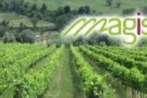 Esempio di eccellenza per le Università di Torino e Milano e di Assoenologi, il progetto di sostenibilità viticola Magis, vuole diventare un modello di riferimento, come spiegano a WineNews Silvio Citar e Karina Von Detten di Bayer Italia