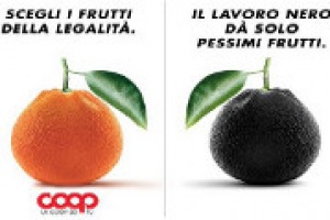 “È importante dare un contributo contro l’illegalità e il lavoro nero. Noi abbiamo esteso a tutti i fornitori dell’ortofrutta delle ispezioni per garantire un prodotto legale”. Così Marco Pedroni, presidente Coop Italia e Stefano Bassi, Ancc-Coop