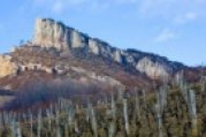‘‘La sostenibilità della cantina è sostenibilità di territorio’’. E l’italia fa scuola nel mondo, nel convegno by Unesco-Università di Borgogna (3-6 ottobre, in Francia), con Dario Marengo alla guida dell’azienda di progettazione ‘‘Amethyst’’