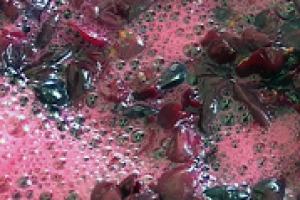 Il vino è questione di vitigno, terroir, ma anche di microbiologia, che ha permesso passi avanti importanti nello studio e nella gestione dei lieviti e non solo. A WineNews Massimo Vincenzini, docente di Microbiologia Agraria (Università di Firenze)