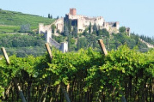 Il vino italiano nei mercati del mondo: la situazione in Uk raccontata da Michel Garner di “Decanter”, lo stato dell’arte in Germania secondo Veronika Crecelius di “Weinwirtschaft”, ed uno sguardo sul Giappone con il sommelier Shigeru Hayashi