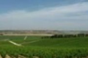 Estremi che si toccano: il caso “Mezzacorona”, che dal Trentino alla Sicilia (con Feudo Arancio), affronta viticoltura agli antipodi. “Ma che ci fanno di conoscere a fondo il mestiere del viticoltore”, dice il responsabile produzione Umberto Pichler