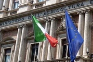 Con la nuova Ocm vino il Ministero delle politiche agricole avrà, per il prossimo quinquennio, 1,5 miliardi a disposizione. Ma come verranno spesi questi soldi? Lo abbiamo chiesto a Michele Alessi Direttore dell’ufficio vitivinicolo del Ministero