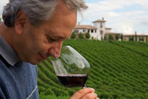 La viticoltura è ricca di storie, che conosciamo molto meno di quanto immaginiamo. Come quella del Primitivo e dello Zinfandel, vitigni gemelli separati alla nascita: a WineNews, il professore di enologia alla Federico II di Napoli, Luigi Moio