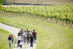 Puntare su formazione, tecnologia, miglioramento continuo e maggior dialogo e chiarezza con le istituzioni per valorizzare di più l’enoturismo: a WineNews il nuovo presidente del Movimento del Turismo del Vino Carlo Pietrasanta