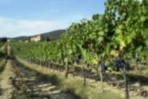 I redditi zero in agricoltura? Possibili a norma di legge, sono calcolati su base catastale e molte imprese sono piccole e individuali. Così Nicola Caputo, responsabile tributario di Confagricoltura I redditi zero in agricoltura? Possibili a norma di legge, sono calcolati su base catastale e molte imprese sono piccole e individuali. Così Nicola Caputo, responsabile tributario di Confagricoltura