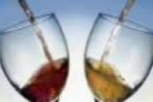 C’è un pò di Francia nel vino d’Italia: si intesifica la collaborazione tra Zonin e Dobourdieu, uno degli enologi più autorevoli del mondo. I commenti di Cristophe Ollivier, enologo e collaboratore di Dubourdieu, e Franco Giacosa, direttore di Zonin