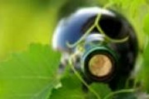 Dalle necessità delle aziende enoiche, nasce l’“Osservatorio del Vino”. Lo presentano, a WineNews, Ettore Nicoletto (Presidente Italia del Vino Consorzio), Gianfranco Grammatica (Symphony Iri) e Francesco Pavanello (Uiv)