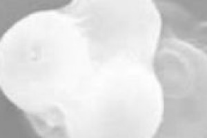 Nel vino c’è vita: lieviti e microrganismi contribuiscono a formarne la qualità. Ma serve più microbiologia in azienda. Così Patrizia Romano (dipartimento di biologia dell’Università della Basilicata)