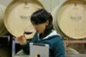 ‘‘Il mondo del vino per crescere guarda ai mercati esteri, e così anche le offerte di lavoro si concentrano su figure professionali ad hoc, specie export manager sui mercati di America ed Asia’’. A WineNews il titolare di WineJob, Andrea Pecchioni