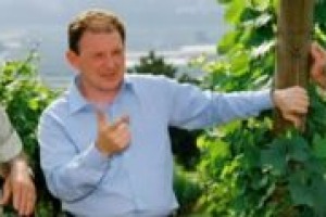 Focus - Vendemmia 2007: ‘raccolta completata con eccellente qualità e volumi di produzione simili al 2006’. Così Fausto Peratoner, direttore del colosso cooperativo trentino La Vis