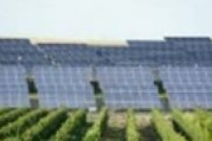 ‘‘Anche in vigna, è fondamentale il soddisfacimento dei propri bisogni energetici tandaoli al meglio, ottimizzando e minimizzando i costi di approvvigionamento’’. A Wine News, Marco Pezzaglia, a capo di Efficiency Now